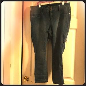 Torrid polka dot jeggings size 18